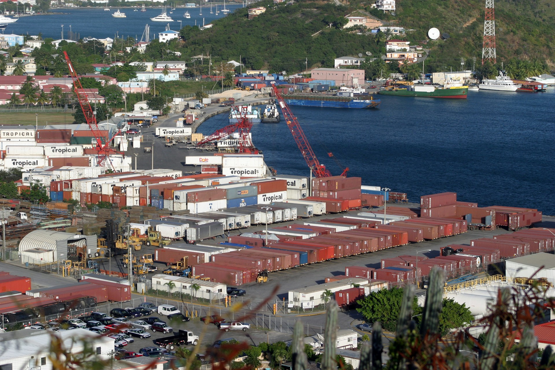 export consulting